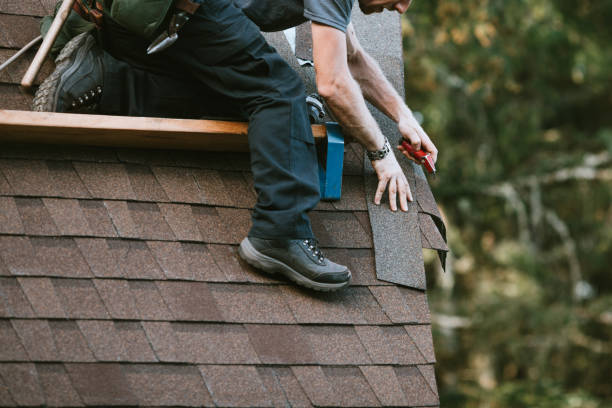 Best Gutter Installation and Roofing  in Chester Heights, PA